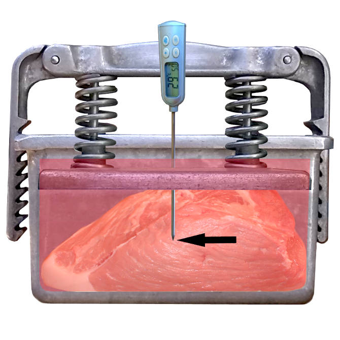 Ein Thermometer im Fleisch, um die Temperatur im Kern zu messen.